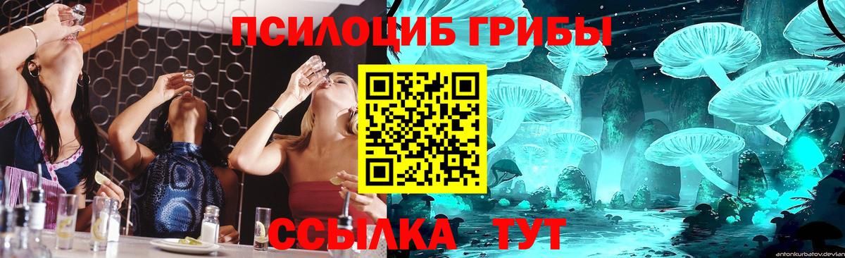 Галлюциногенные грибы Cubensis  Псилоцибиновые грибы ЛСД  Воркута  сколько стоит  Вход с VPN 